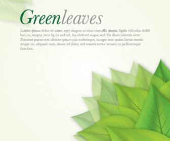 зеленые листья Векторный фон