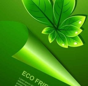 สีเขียวใบ มีพื้นหลัง Eco หล่นน้ำ