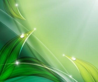 Green Leaves With Water Drop Eco Background