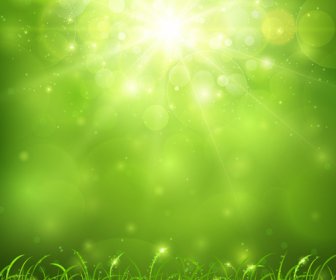 Green Nature And Sunlight Background Vector