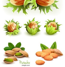 Green Nuts Design Vector