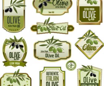 綠色橄欖油標籤設定向量