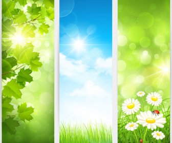 Green Spring Leaves Banners Set Vector