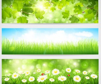 Green Spring Leaves Banners Set Vector