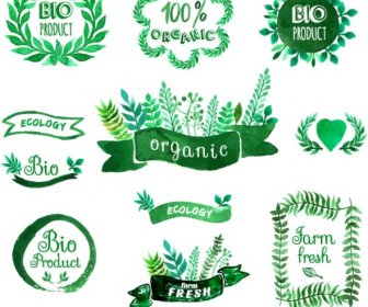 Green Watercolor Stickers