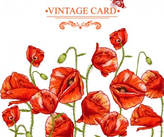 Hand Drawing Poppies Vintage Card Vector