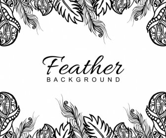 Hand Drawn Black White Feather Frame Background