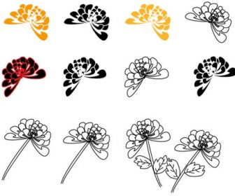 Handgezeichnete Chrysanthemenelemente Vektor