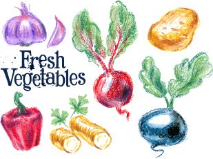 руки Drawn цветные векторные свежие овощи