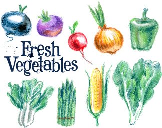 手で新鮮な野菜の色ベクトルを描画