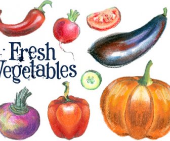 Handgezeichnete Farbige Vektor Frisches Gemüse