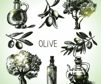 Handgezeichnete Olive Elemente Vektor-icons