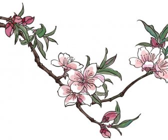 Hand Drawn Peach Blossom Creative Vector Graphics
