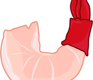 hand drawn seafood vectors graphics