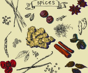 Hand Drawn Spices Creative Vector