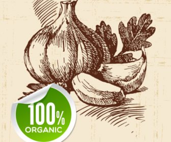 Hand Drawn Vegetables With Organic Sticker Vector