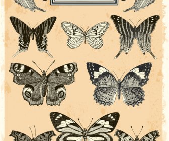 Handgezeichnete Vintage Schmetterlinge Vektoren Set