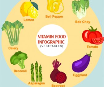 Healthy Vegetables Infographic Poster Colorful Flat Handdrawn Sketch