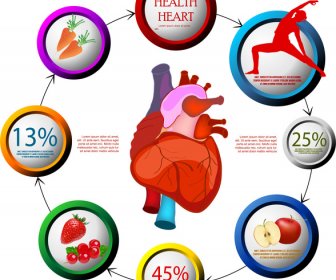 Herz Gesundheit Förderung Plakat Illustration Mit Zyklus Kreise