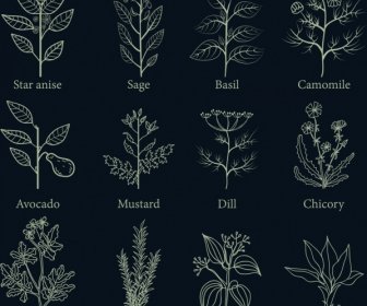 Herb Icons Collection Flat Dark Design Various Types