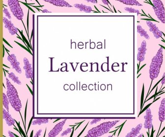 Herbal Background Violet Lavender Icons Repeating Design