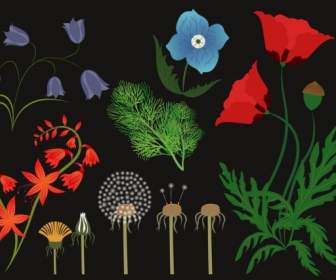 Iconos De Hierbas Varia Decoración Flora Multicolor De Fondo