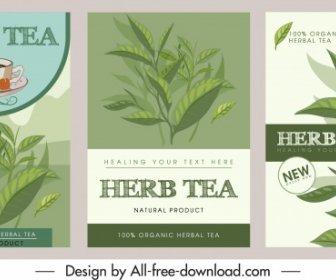 Bitkisel çay Reklam Arka Plan Klasik Handdrawn Dekor