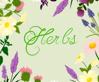 Herbs Background Colorful Flowers Decoration Calligraphic Design
