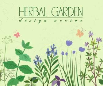 Herbal Latar Belakang Bunga Alam Segar Berwarna-warni Dekorasi