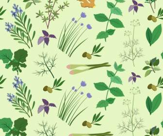 Herbs Background Multicolored Icon Decoration Repeating Design