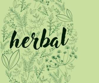 Herbal Latar Belakang Berbagai Sketsa Hijau Ikon