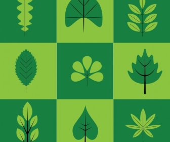 Herbs Icons Collection Green Leaves Types Isolation