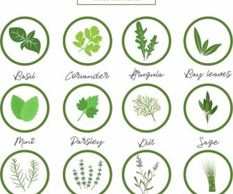 Herbs Icons Collection Various Green Symbols Isolation