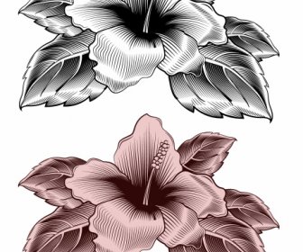 히비스커스 식물상 아이콘 우아한 복고풍 스케치