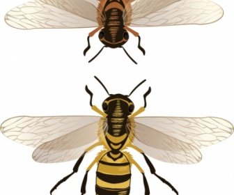 نحل العسل الخلفية الملونة ديكور رموز نموذج بالحجم الطبيعي