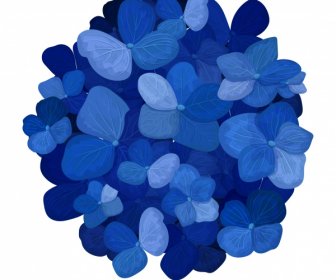 Hortensia Flower Icon Blue Blooming Petals Sketch