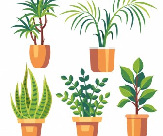 houseplant icons colored flat sketch