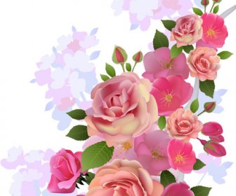Riesige Sammlung Von Vektorgrafiken Schöne Blume