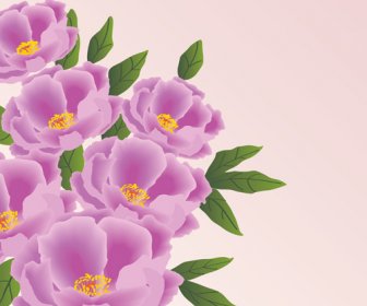 Enorme Coleção De Gráficos Vetoriais De Bela Flor