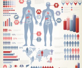 Vetor De Infográficos De Saúde Humana
