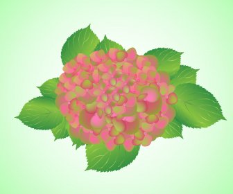Hydrangea Hijau Amethyst Bunga Pink Campuran