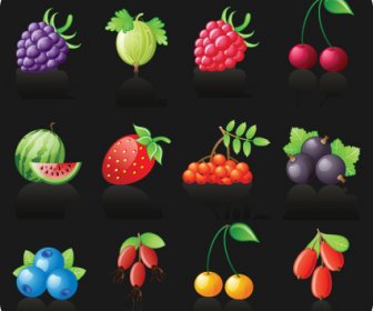 Icons Different Fruits Vector