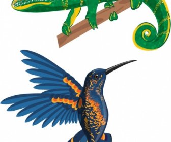Iguana Bird Icons Colorful Modern Design