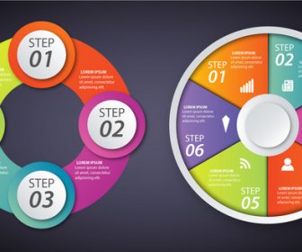 Infographic Diagrams Illustration With Colorful Circles