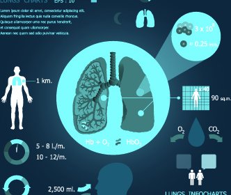 Infographic Medical Creative Vector