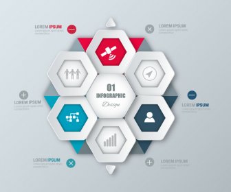 Infographic Vector Illustration With Hexagons Combination