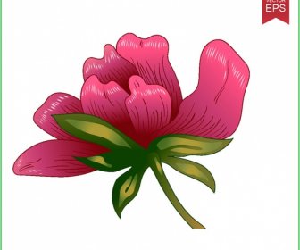 Tinte Vektor Rote Pfingstrose Kostenloser Download Floral Botanische Blume Wilde Sprin
