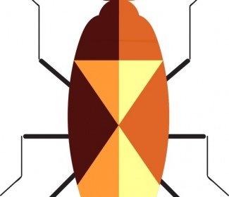 Insect Background Beetle Icon Closeup Geometric Design