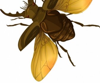 Insect Background Bug Icon Modern Colored Design
