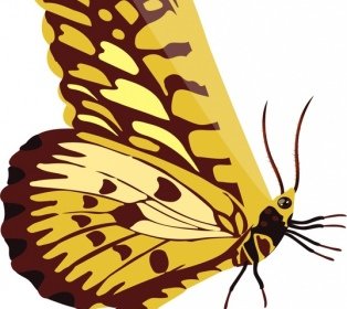 Latar Belakang Serangga Kupu-kupu Ikon Mengkilap Closeup Berwarna-warni Desain